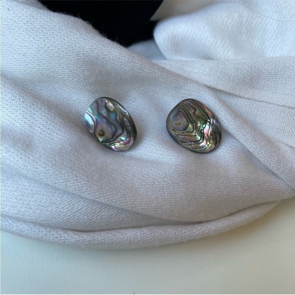Abalone Shell Pierced Earrings - Picture 1 of 5